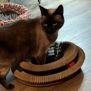 Cat Scratching Board with Bell-Ball